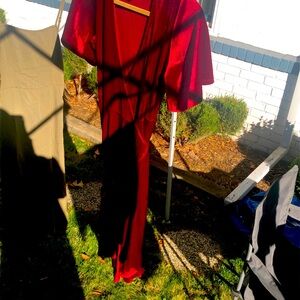 Fantastic fun, velvet red dress